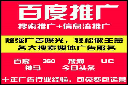 SEM竞价广告的智能优化：成功案例解读